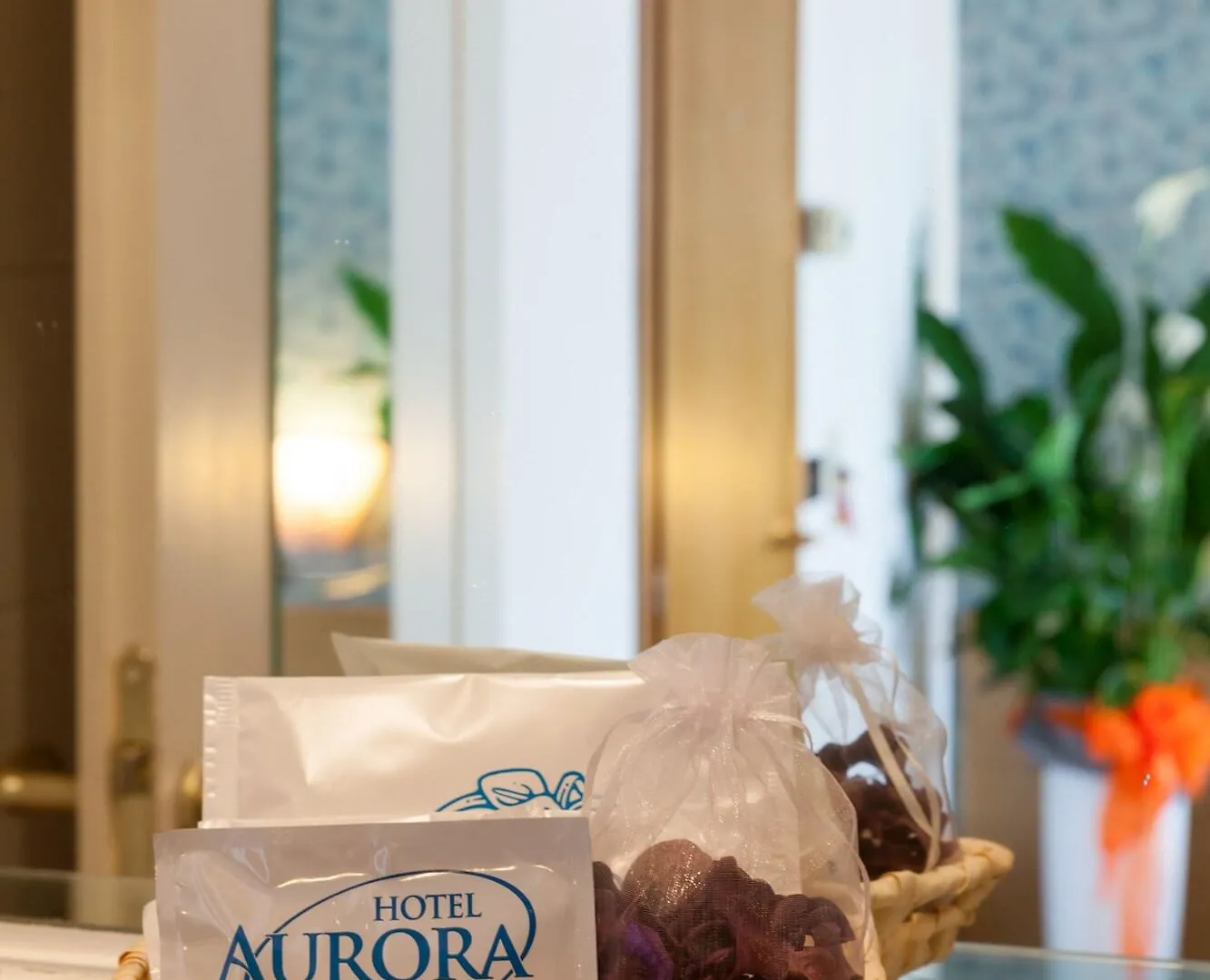 Hotel Aurora Desenzano del Garda